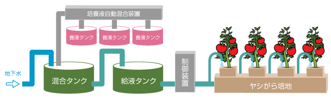 水耕栽培システムイメージ